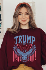 Trump Eagle 2024 Graphic Fleece Sweatshirt