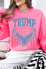 Trump Eagle 2024 Graphic Fleece Sweatshirt